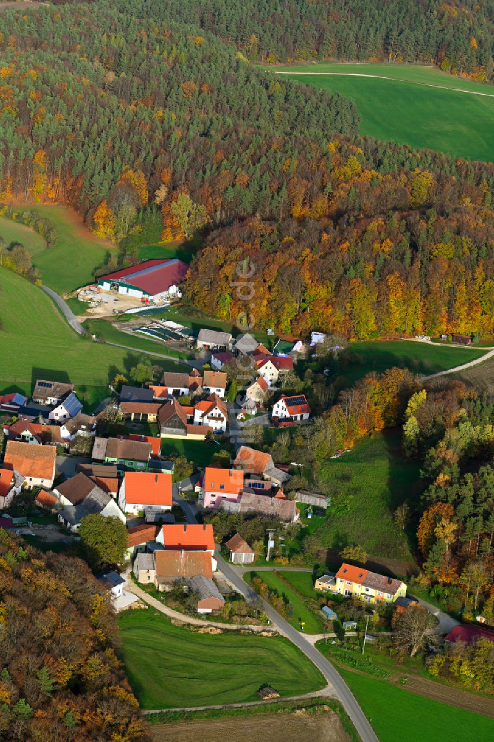 Grünreuth von oben - Herbstluftbild Dorf - Ansicht am Rande von Waldgebieten in Grünreuth im Bundesland Bayern, Deutschland