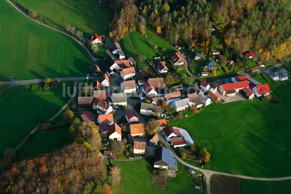 Luftbild Grünreuth - Herbstluftbild Dorf - Ansicht am Rande von Waldgebieten in Grünreuth im Bundesland Bayern, Deutschland