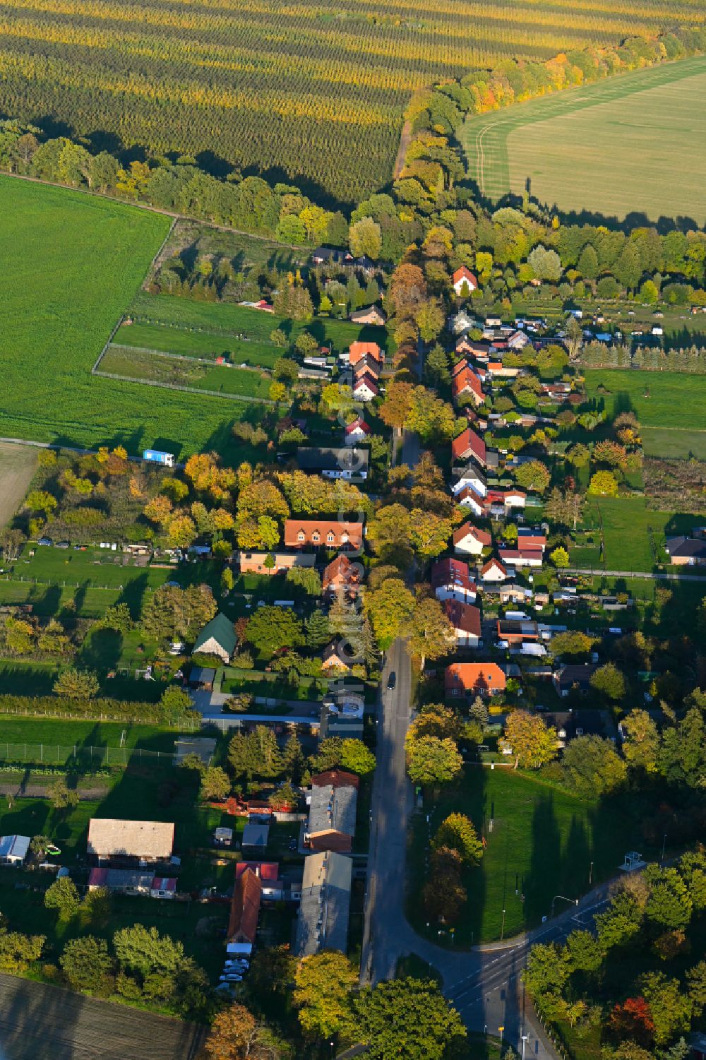 Luftaufnahme Goldenitz - Herbstluftbild Dorfansicht in Goldenitz im Bundesland Mecklenburg-Vorpommern, Deutschland