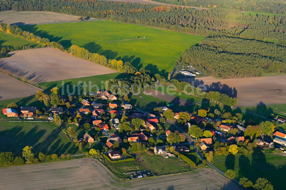 Luftaufnahme Neu Krenzlin - Herbstluftbild Dorfansicht in Neu Krenzlin im Bundesland Mecklenburg-Vorpommern, Deutschland