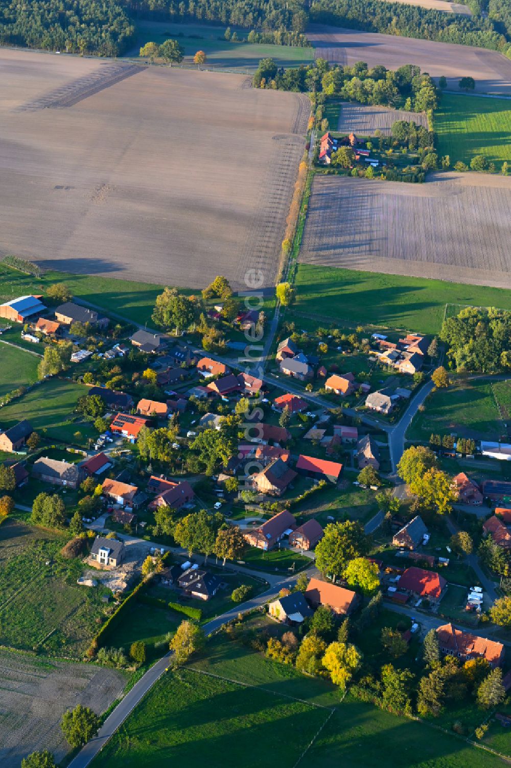 Luftbild Neu Krenzlin - Herbstluftbild Dorfansicht in Neu Krenzlin im Bundesland Mecklenburg-Vorpommern, Deutschland