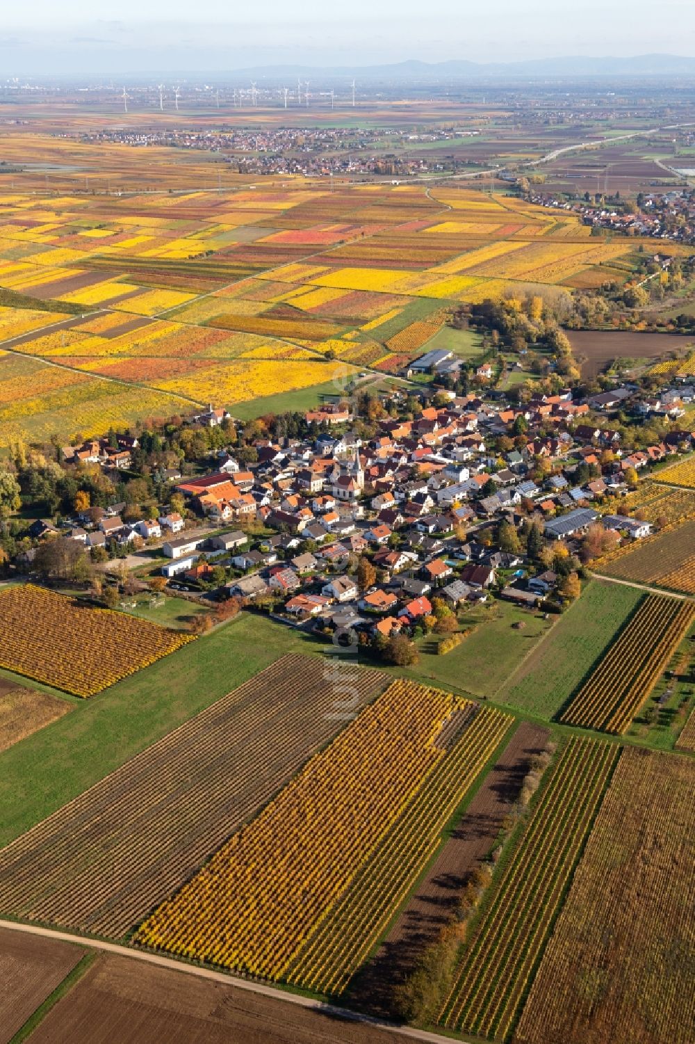 Bissersheim aus der Vogelperspektive: Herbstluftbild Dorfkern in Bissersheim im Bundesland Rheinland-Pfalz, Deutschland