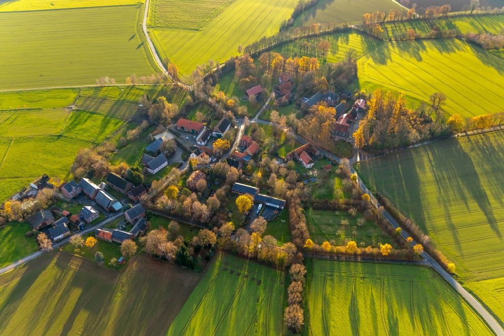Luftbild Eineckerholsen - Herbstluftbild Dorfkern am Feldrand in Eineckerholsen im Bundesland Nordrhein-Westfalen, Deutschland