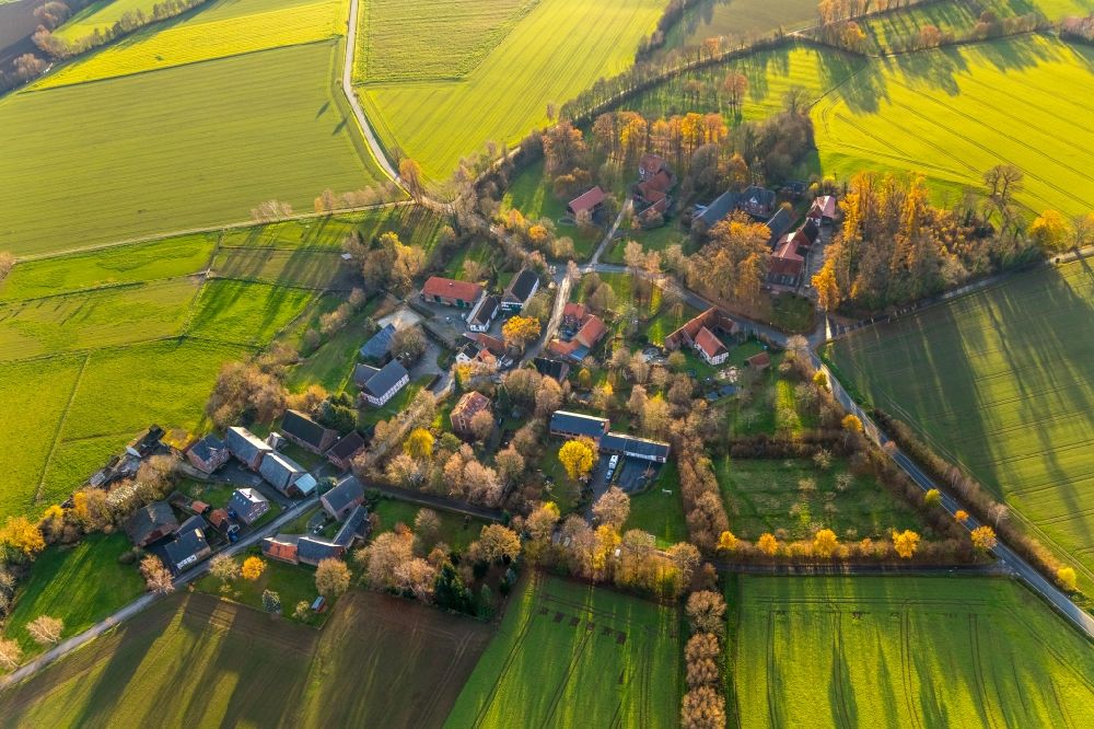 Luftaufnahme Eineckerholsen - Herbstluftbild Dorfkern am Feldrand in Eineckerholsen im Bundesland Nordrhein-Westfalen, Deutschland