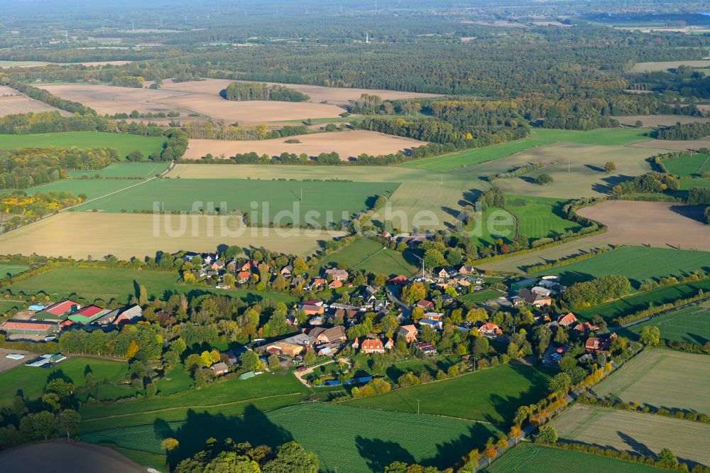 Luftbild Groß Pampau - Herbstluftbild Dorfkern am Feldrand in Groß Pampau im Bundesland Schleswig-Holstein, Deutschland