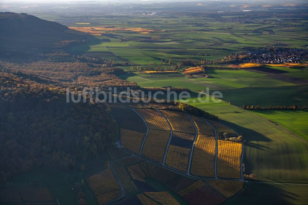Luftaufnahme Castell - Herbstluftbild Dorfsiedlung am Weinbaugebiet in Castell im Bundesland Bayern, Deutschland