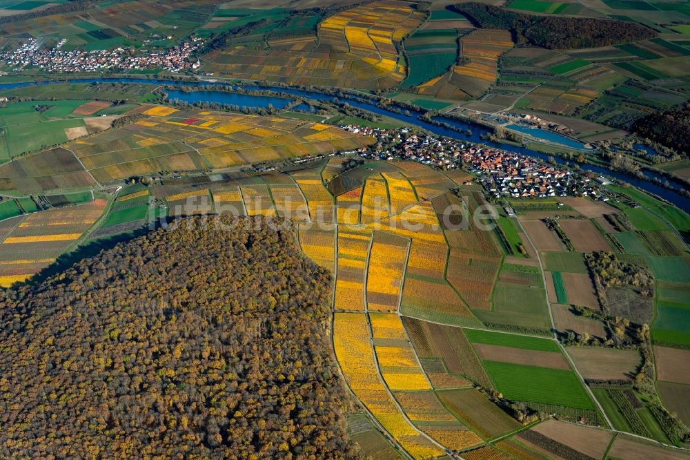 Obereisenheim aus der Vogelperspektive: Herbstluftbild Dorfsiedlung am Weinbaugebiet am Fluss Main in Obereisenheim im Bundesland Bayern, Deutschland