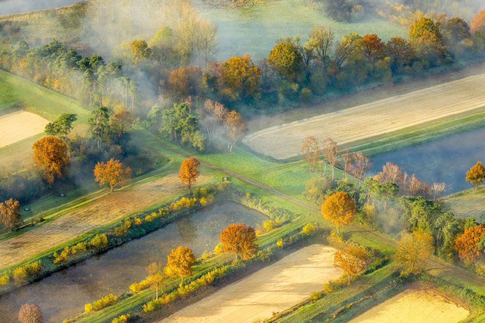 Luftbild Haltern am See - Herbstluftbild Dunst über den Klärwerks- Becken der Gelsenwasser AG in Haltern am See im Bundesland Nordrhein-Westfalen, Deutschland