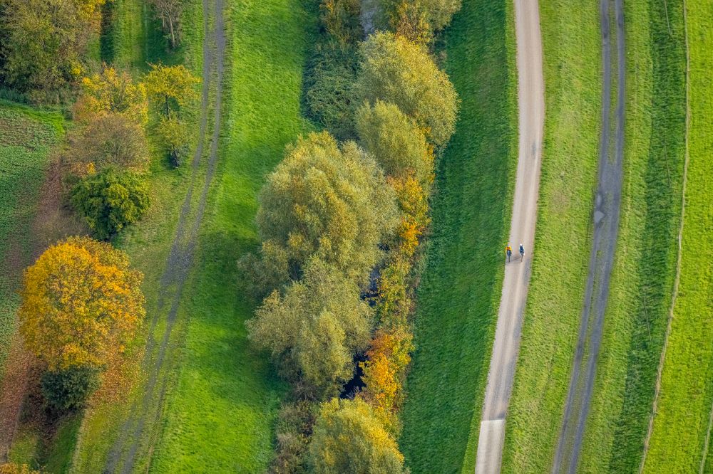 Luftaufnahme Bergkamen - Herbstluftbild Fahrradweg - Radweg entlang der Seseke in Bergkamen im Bundesland Nordrhein-Westfalen, Deutschland