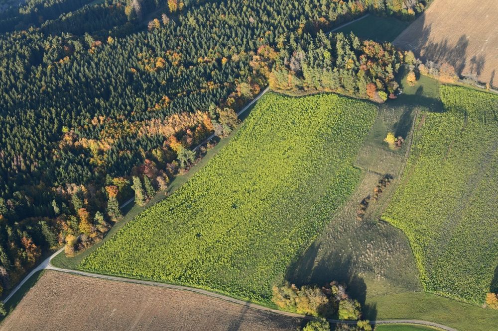 Luftaufnahme Stühlingen - Herbstluftbild Feld- Landschaft in Stühlingen im Bundesland Baden-Württemberg, Deutschland