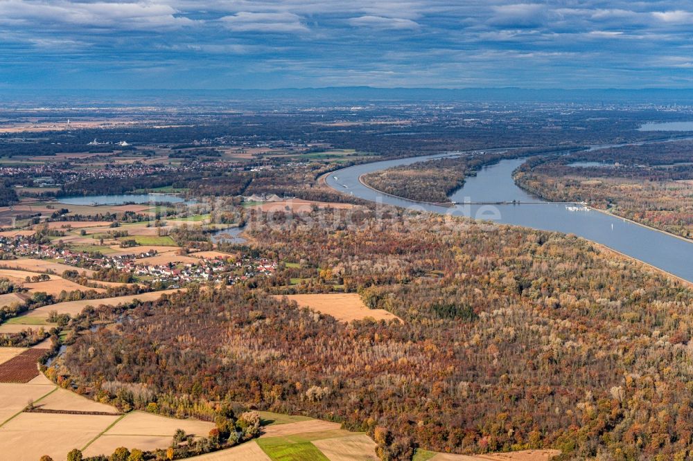 Gerstheim aus der Vogelperspektive: Herbstluftbild Flußverlauf am Rhein am Grenzübergang Nonnenweier- Gerstheim in Grand Est, Frankreich