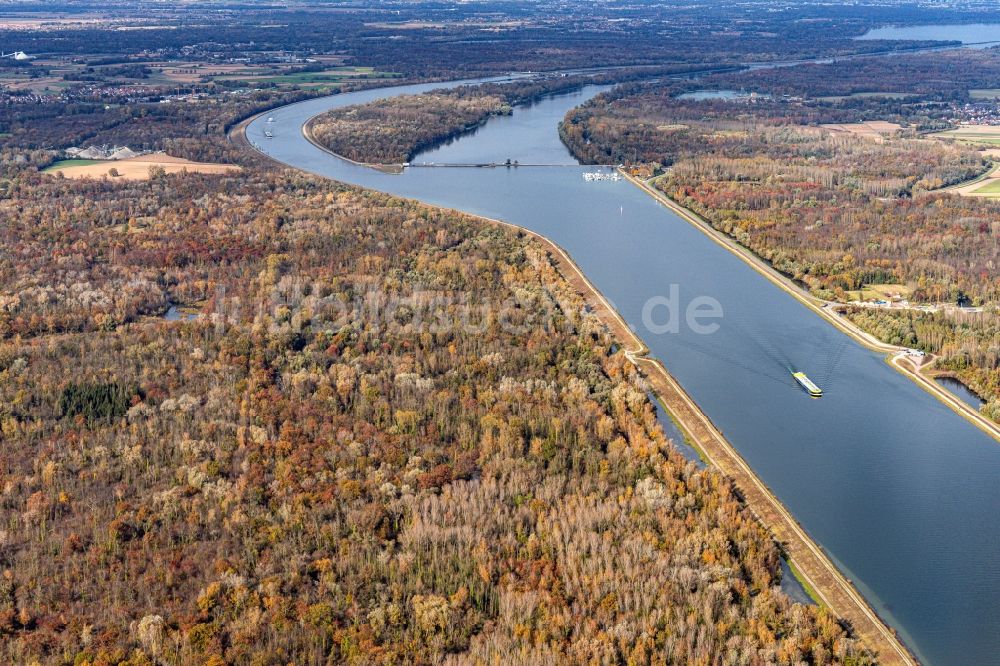 Gerstheim von oben - Herbstluftbild Flußverlauf am Rhein am Grenzübergang Nonnenweier- Gerstheim in Grand Est, Frankreich