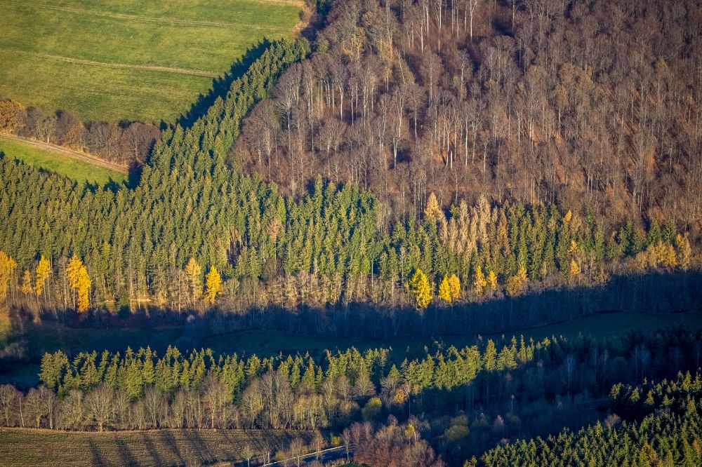 Luftaufnahme Bödefeld - Herbstluftbild Forstgebiete in einem Waldgebiet in Bödefeld im Bundesland Nordrhein-Westfalen, Deutschland