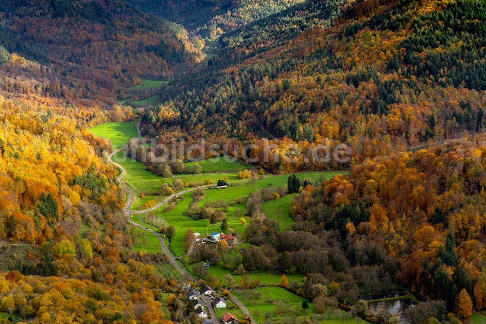 Luftaufnahme Herbolzheim - Herbstluftbild Forstgebiete in einem Waldgebiet des Bleichtal in Herbolzheim im Bundesland Baden-Württemberg, Deutschland
