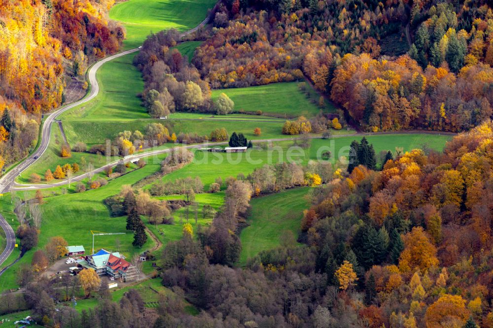 Herbolzheim von oben - Herbstluftbild Forstgebiete in einem Waldgebiet des Bleichtal in Herbolzheim im Bundesland Baden-Württemberg, Deutschland