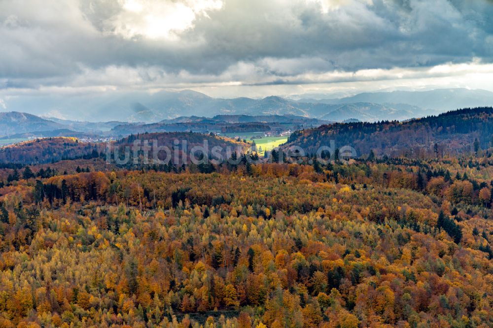 Herbolzheim aus der Vogelperspektive: Herbstluftbild Forstgebiete in einem Waldgebiet des Bleichtal in Herbolzheim im Bundesland Baden-Württemberg, Deutschland