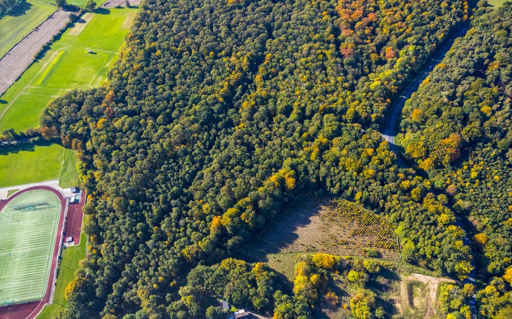 Luftbild Kamp-Lintfort - Herbstluftbild Forstgebiete in einem Waldgebiet in Kamp-Lintfort im Bundesland Nordrhein-Westfalen, Deutschland
