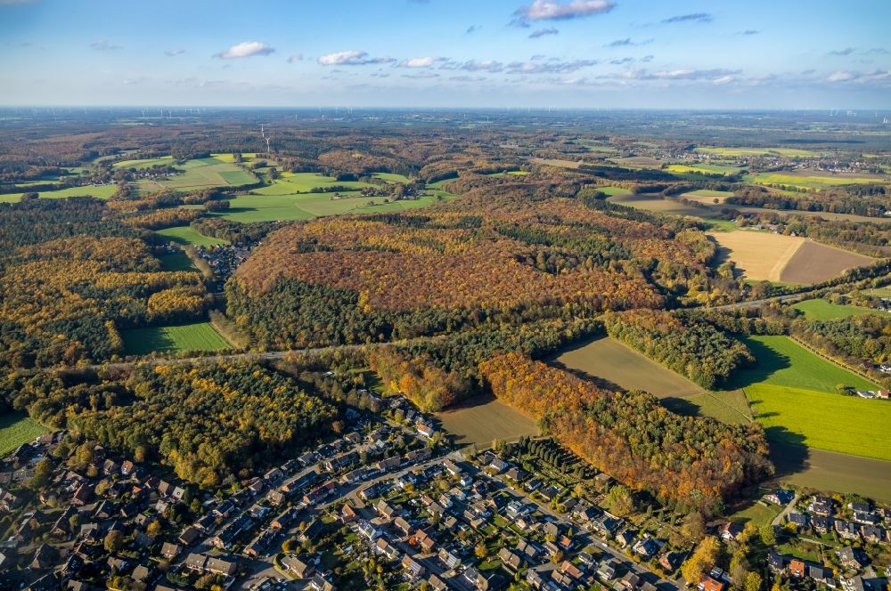 Haltern am See von oben - Herbstluftbild Forstgebiete in einem Waldgebiet am Stadtrand entlang der BAB A43 in Haltern am See im Bundesland Nordrhein-Westfalen, Deutschland
