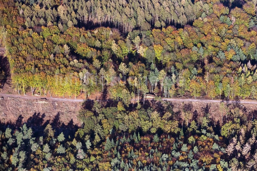 Luftaufnahme Witten - Herbstluftbild Forstgebiete in einem Waldgebiet in Witten im Bundesland Nordrhein-Westfalen, Deutschland