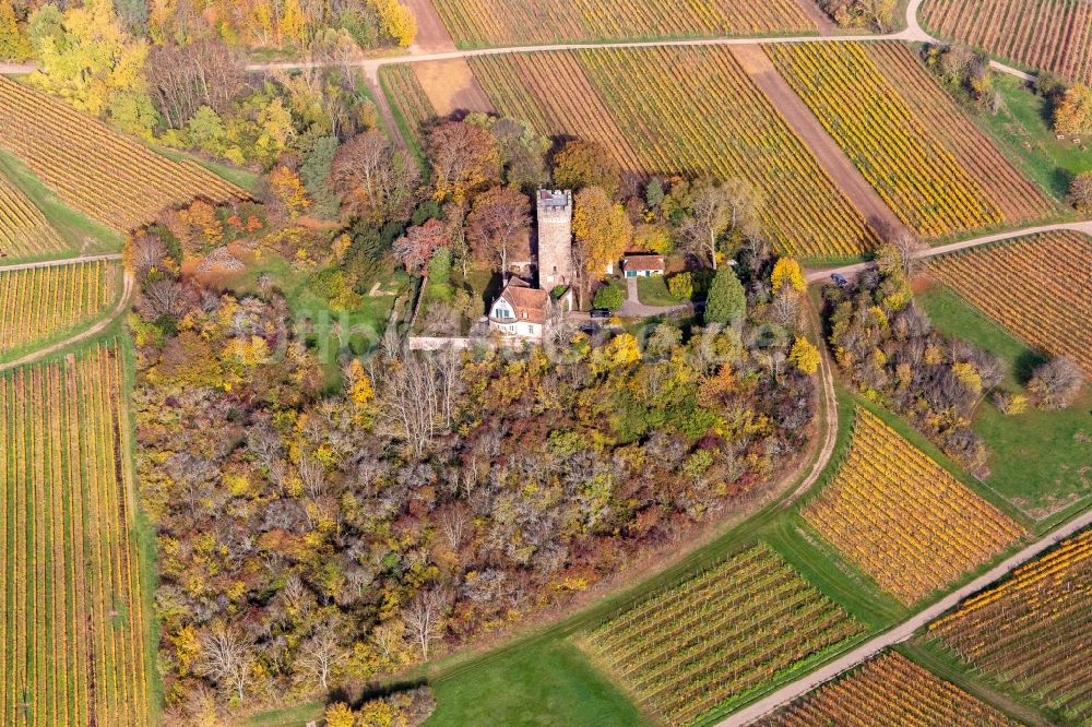 Wissembourg aus der Vogelperspektive: Herbstluftbild von Gebäude und Parkanlagen des Chateau Saint Paul auf dem Sonneberg in Wissembourg in Grand Est, Frankreich