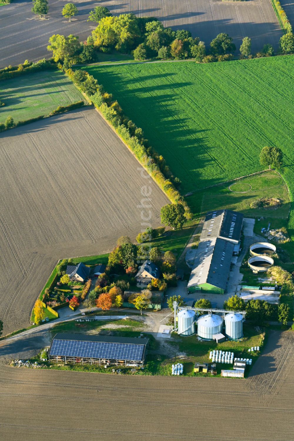Luftbild Kasseburg - Herbstluftbild Gehöft und Bauernhof an der Straße Flachslande in Kasseburg im Bundesland Schleswig-Holstein, Deutschland