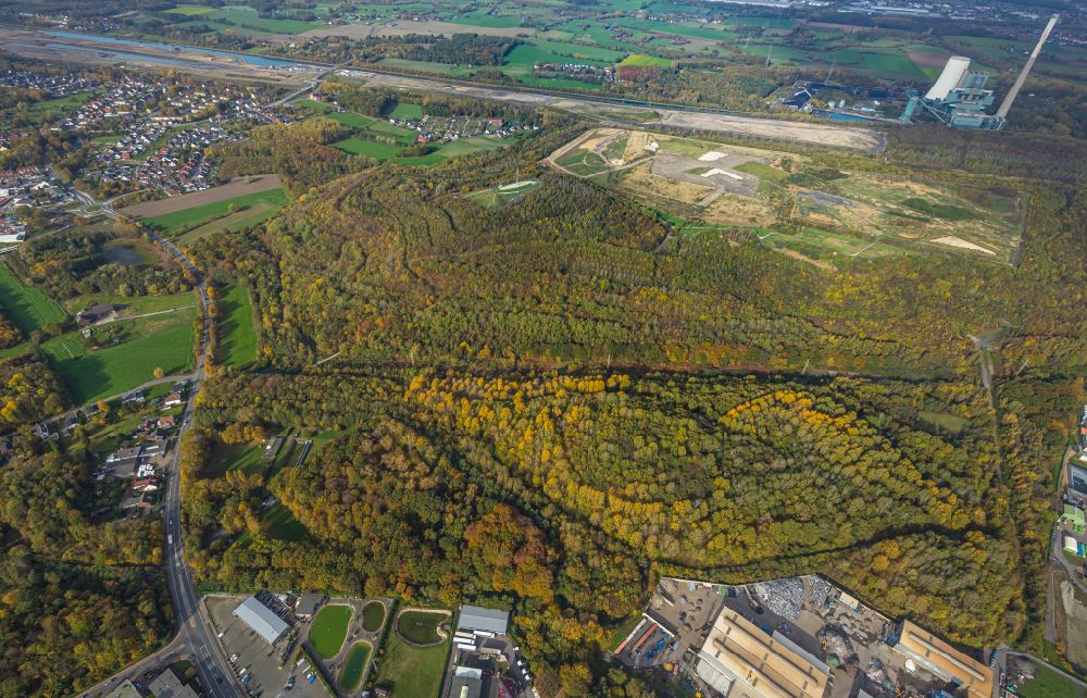 Luftbild Bergkamen - Herbstluftbild Gelände der ehemaligen Bergbau- Halde Halde Großes Holz in Bergkamen im Bundesland Nordrhein-Westfalen - NRW, Deutschland