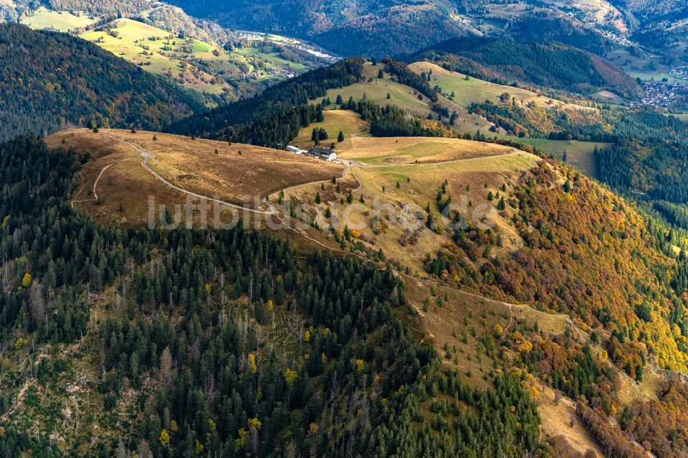 Luftaufnahme Schönenberg - Herbstluftbild Gipfel des Belchen in der Felsen- und Berglandschaft in Schönenberg im Bundesland Baden-Württemberg, Deutschland