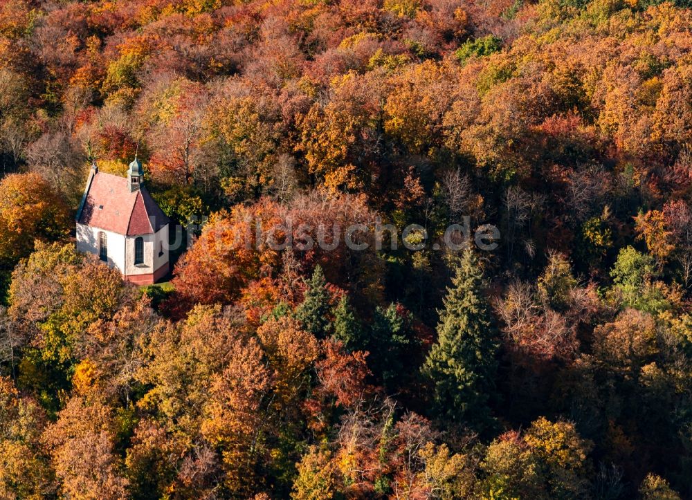 Luftaufnahme Endingen am Kaiserstuhl - Herbstluftbild Kapelle Sankt Katharinen in Vogtsburg im Kaiserstuhl im Bundesland Baden-Württemberg