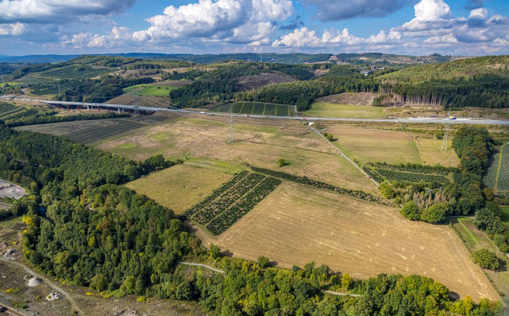 Bestwig von oben - Herbstluftbild Landwirtschaft am Streckenverlauf der BAB A46 in Bestwig im Bundesland Nordrhein-Westfalen, Deutschland