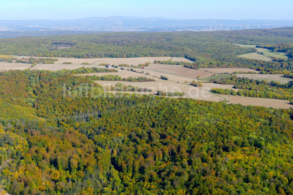 Göttingen von oben - Herbstluftbild Laubbaum- Baumspitzen in einem Waldgebiet in Göttingen im Bundesland Niedersachsen, Deutschland