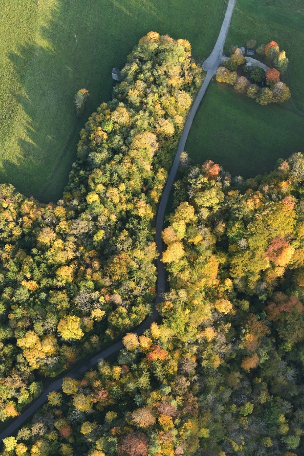 Luftbild Blumberg - Herbstluftbild Laubbaum- Baumspitzen in einem Waldgebiet an der Kreisstrasse K5742 im Ortsteil Fützen in Blumberg im Bundesland Baden-Württemberg, Deutschland
