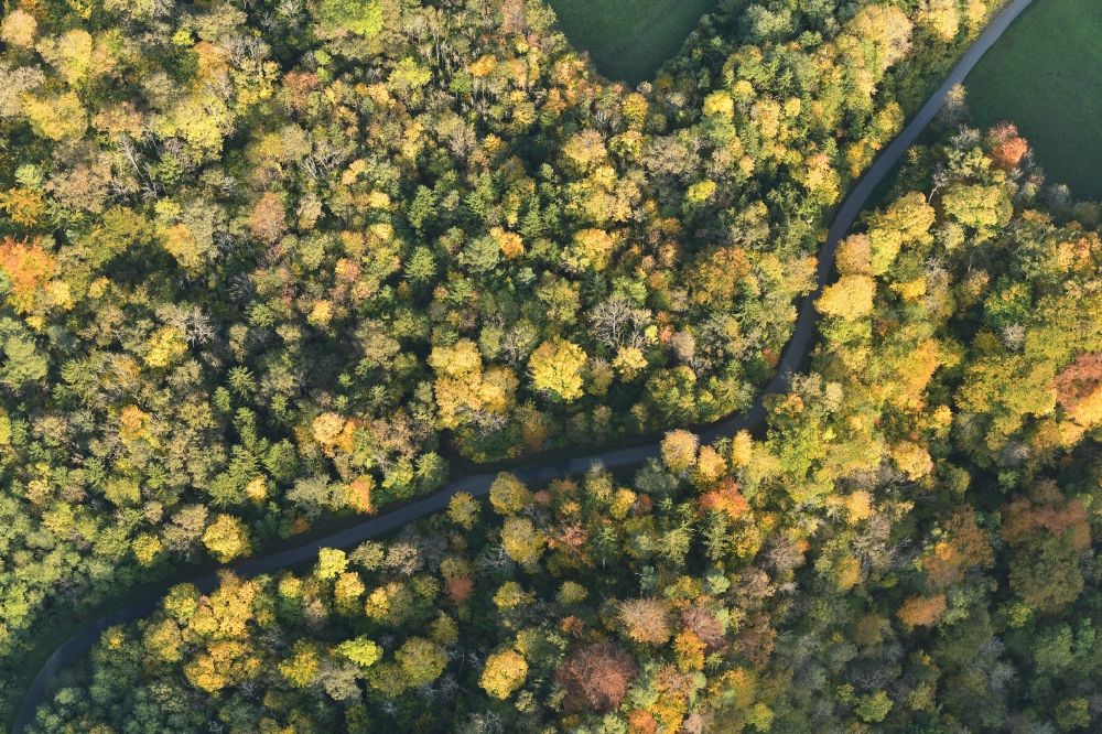 Luftaufnahme Blumberg - Herbstluftbild Laubbaum- Baumspitzen in einem Waldgebiet an der Kreisstrasse K5742 im Ortsteil Fützen in Blumberg im Bundesland Baden-Württemberg, Deutschland