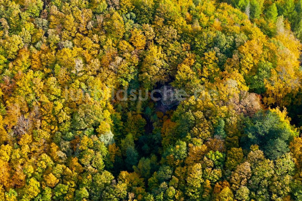 Luftbild Lindewerra - Herbstluftbild Laubbaum- Baumspitzen in einem Waldgebiet in Lindewerra im Bundesland Thüringen, Deutschland