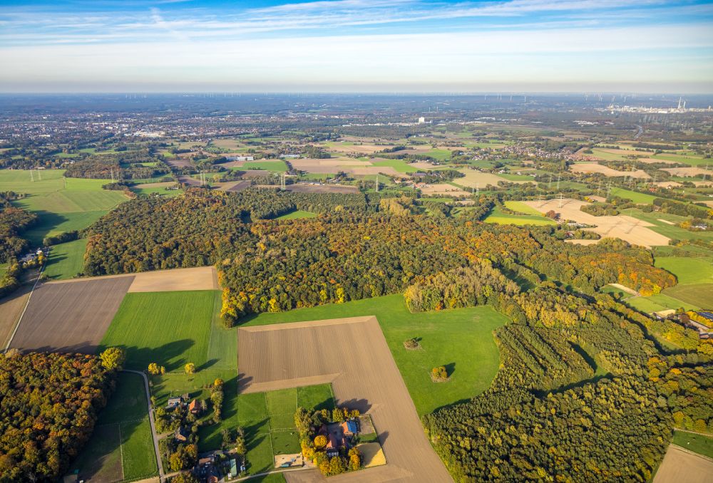 Luftaufnahme Gladbeck - Herbstluftbild Laubbaum- Baumspitzen in einem Waldgebiet Möllers Bruch Waldgebiet in Gladbeck im Bundesland Nordrhein-Westfalen, Deutschland