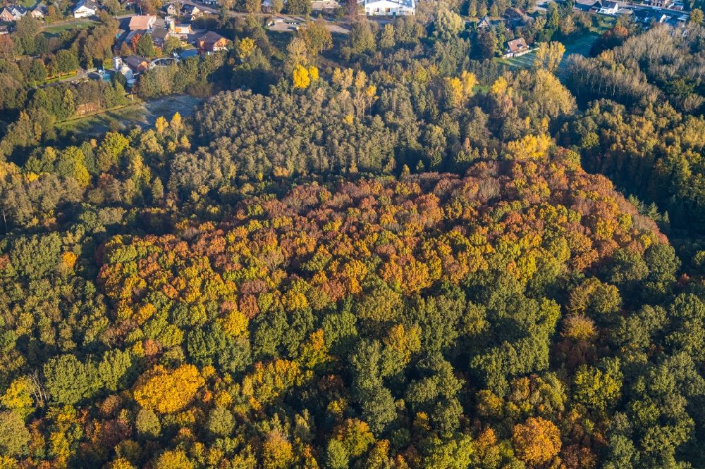 Overhetfeld von oben - Herbstluftbild Laubbaum- Baumspitzen in einem Waldgebiet in Overhetfeld im Bundesland Nordrhein-Westfalen, Deutschland