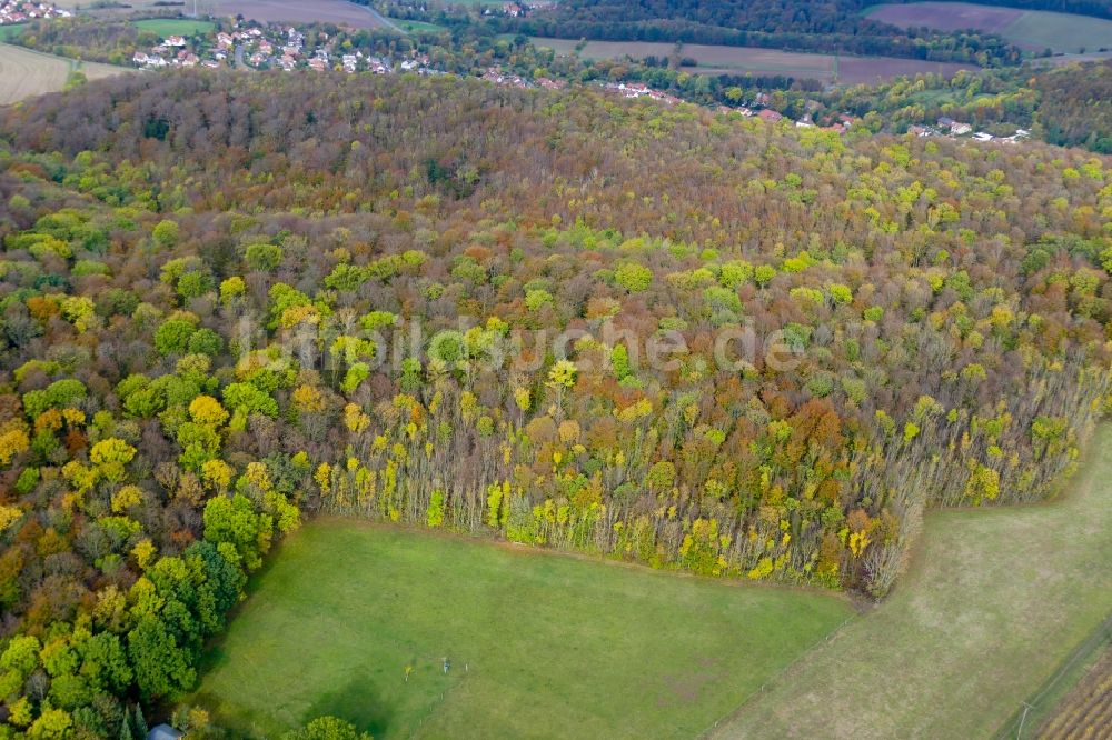 Rosdorf von oben - Herbstluftbild Laubbaum- Baumspitzen in einem Waldgebiet in Rosdorf im Bundesland Niedersachsen, Deutschland