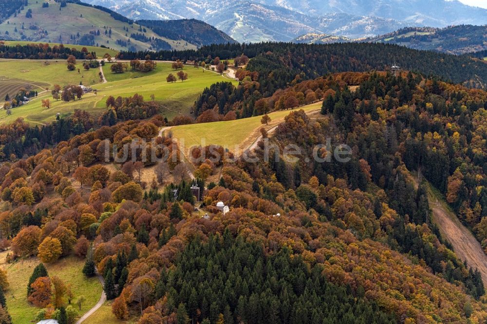Oberried aus der Vogelperspektive: Herbstluftbild Laubbaum- Baumspitzen in einem Waldgebiet am Schauinsland in Oberried im Bundesland Baden-Württemberg, Deutschland