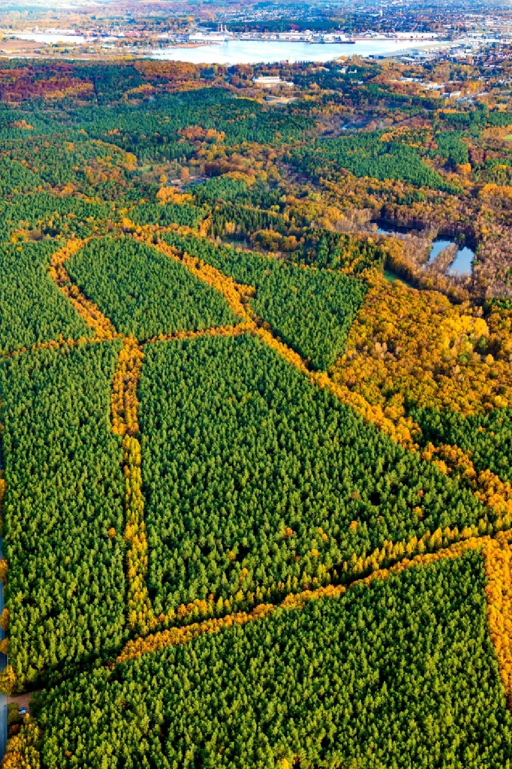 Luftbild Lübeck - Herbstluftbild Marlin Brandenbaum Forst Engel Abzeichnung durch die Forstwege in Lübeck im Bundesland Schleswig-Holstein, Deutschland