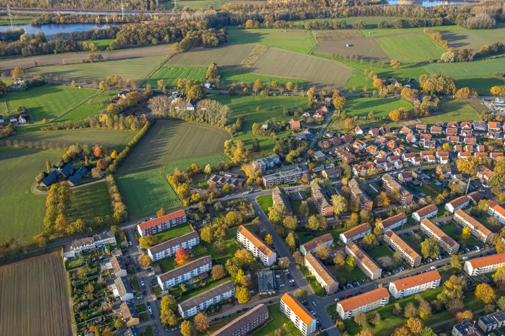 Herringer Heide von oben - Herbstluftbild Mehrfamilienhaussiedlung in Herringer Heide im Bundesland Nordrhein-Westfalen, Deutschland