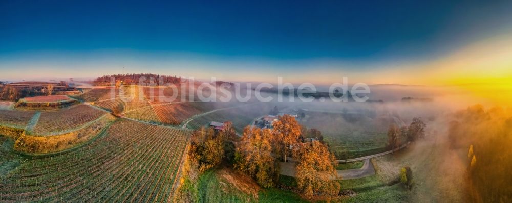 Ettenheim von oben - Herbstluftbild im Nebel, Weinbaugebiet in Ettenheim im Bundesland Baden-Württemberg, Deutschland