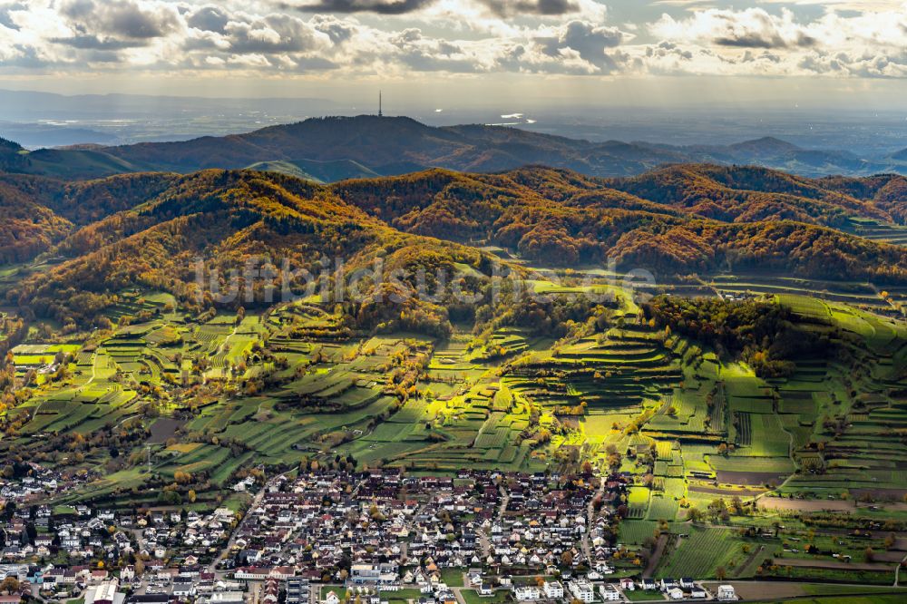 Luftbild Endingen am Kaiserstuhl - Herbstluftbild Ortsansicht in Endingen am Kaiserstuhl im Bundesland Baden-Württemberg, Deutschland