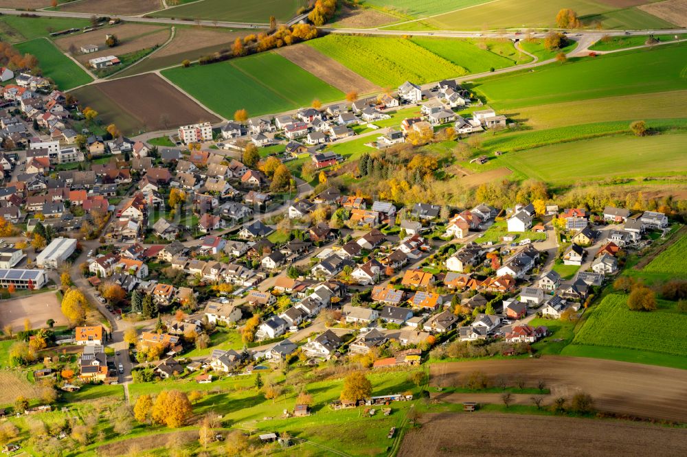Luftbild Hofweier - Herbstluftbild Ortsansicht in Hofweier im Bundesland Baden-Württemberg, Deutschland