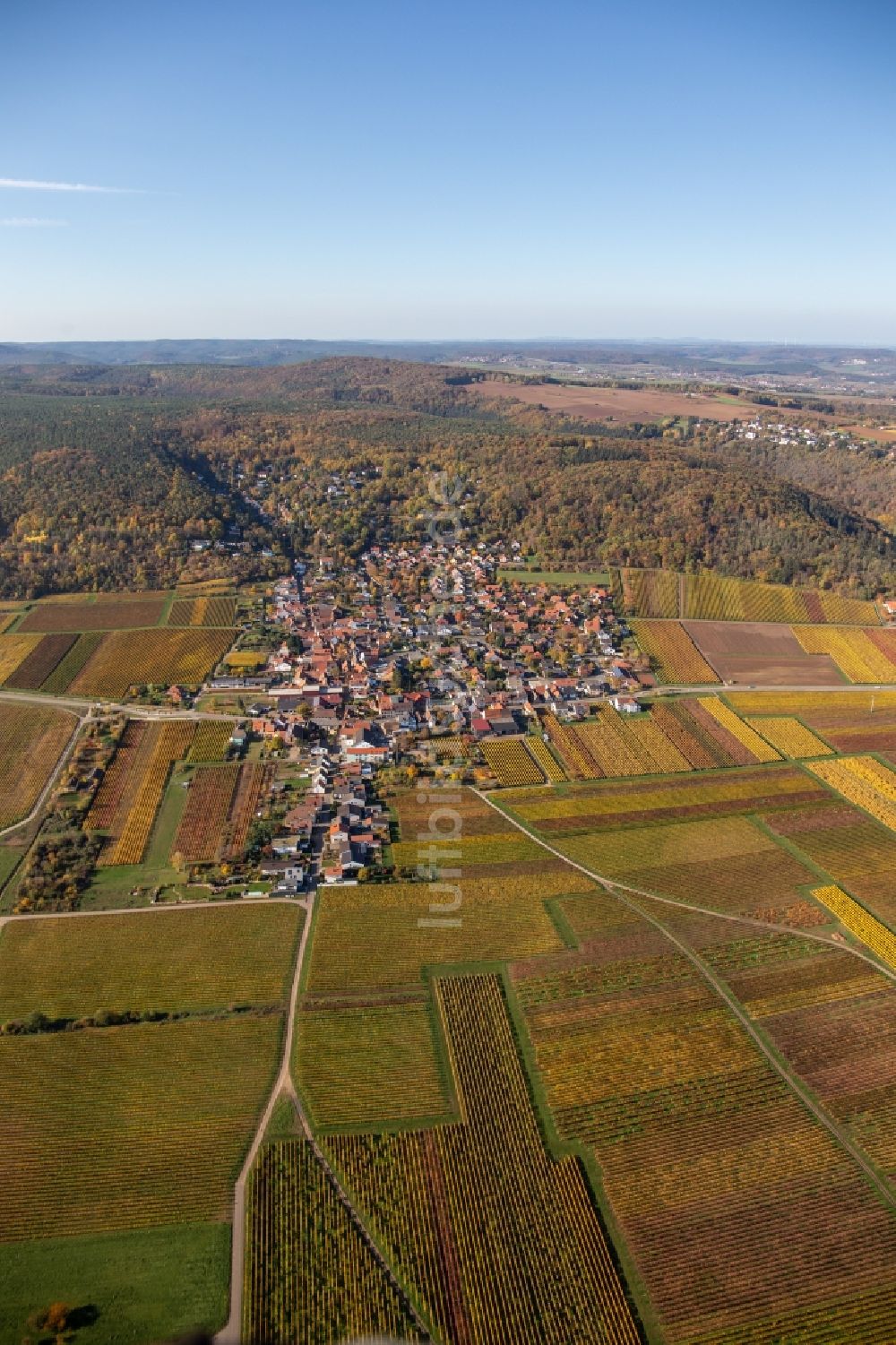 Luftbild Bobenheim am Berg - Herbstluftbild der Ortsansicht in der Rheinebene am Rand der Haardt in Bobenheim am Berg im Bundesland Rheinland-Pfalz, Deutschland