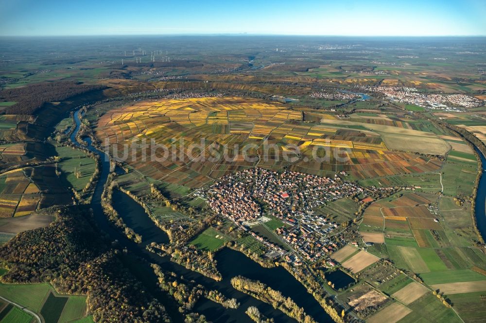 Luftbild Sommerach - Herbstluftbild Ortsbereich am Weinbaugebiet in der Mainschleife in Sommerach im Bundesland Bayern, Deutschland