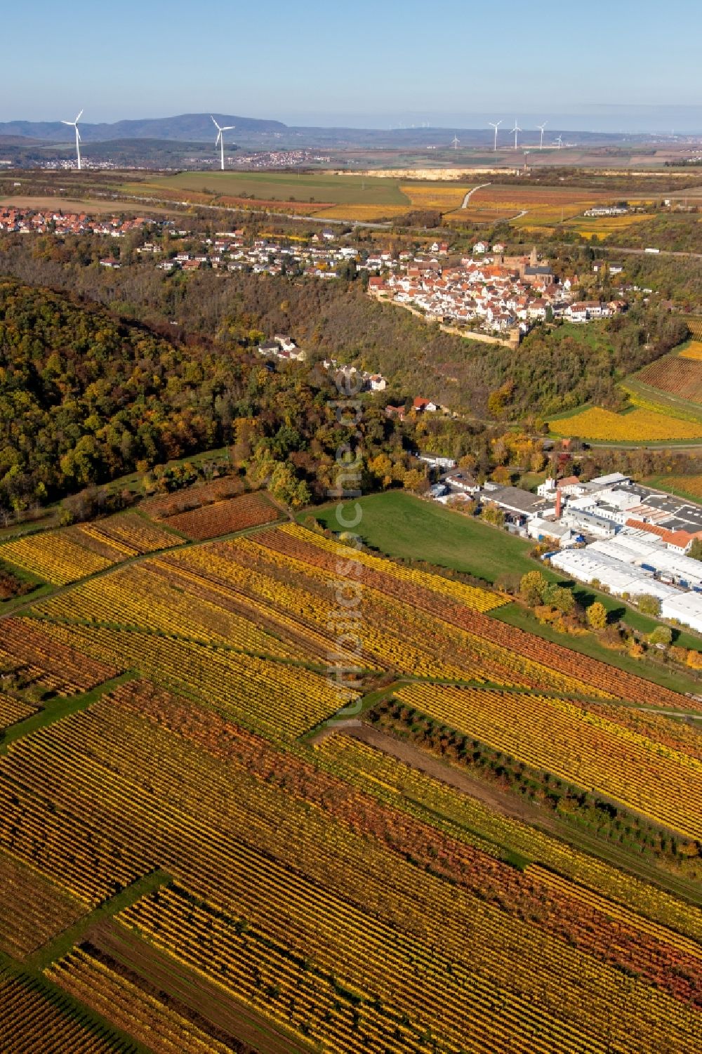 Luftbild Neuleiningen - Herbstluftbild Ortsbereich am Weinbaugebiet oberhalb der Produktionshallen der Gechem GmbH & Co. KG in Neuleiningen im Bundesland Rheinland-Pfalz, Deutschland