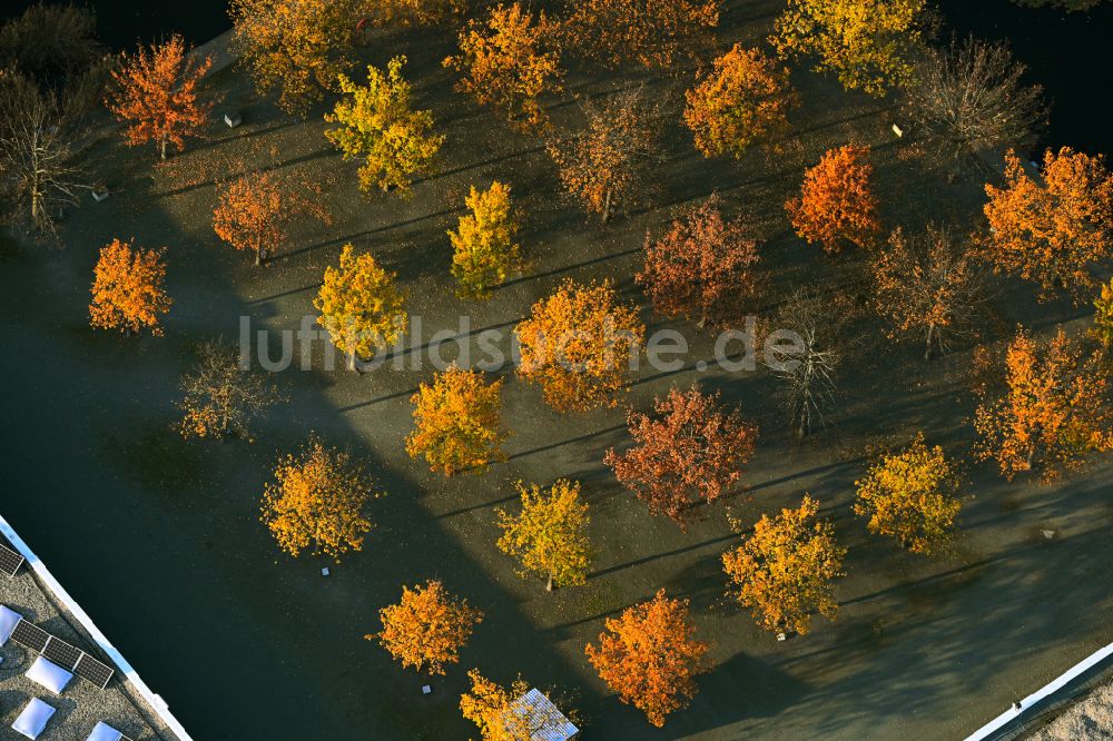 Luftaufnahme Berlin - Herbstluftbild Parkanlage mit Baumreihen am Tierheim im Ortsteil Falkenberg in Berlin, Deutschland