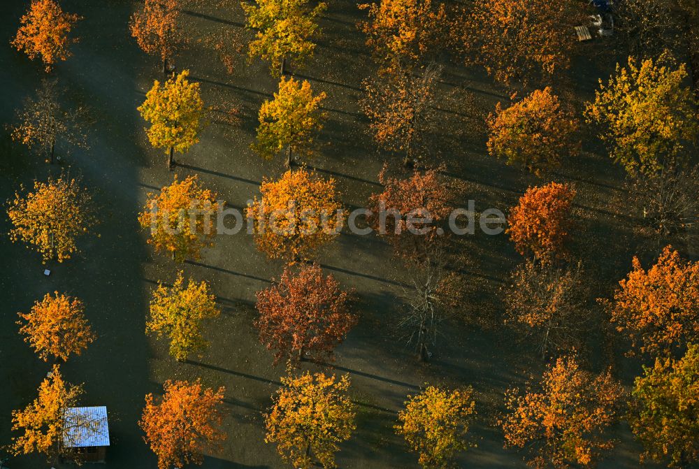 Berlin von oben - Herbstluftbild Parkanlage mit Baumreihen am Tierheim im Ortsteil Falkenberg in Berlin, Deutschland