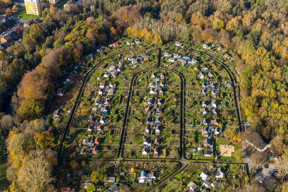 Bochum von oben - Herbstluftbild Parzellen einer Kleingartenanlage in Bochum im Bundesland Nordrhein-Westfalen