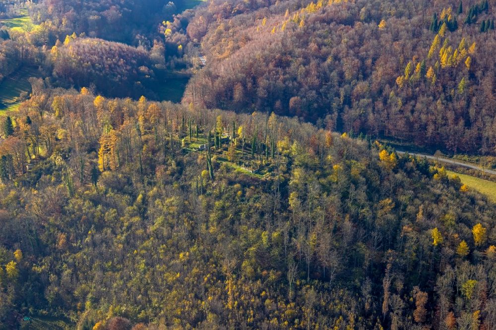 Arnsberg aus der Vogelperspektive: Herbstluftbild Ruine und Mauerreste der Burgruine Rüdenburg in Arnsberg im Bundesland Nordrhein-Westfalen, Deutschland