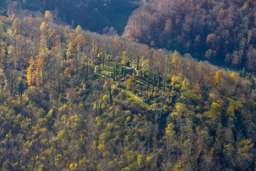 Luftbild Arnsberg - Herbstluftbild Ruine und Mauerreste der Burgruine Rüdenburg in Arnsberg im Bundesland Nordrhein-Westfalen, Deutschland